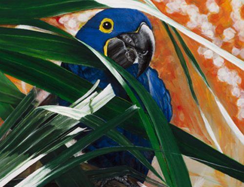 Parrot