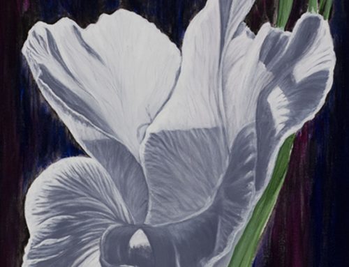 White Flower